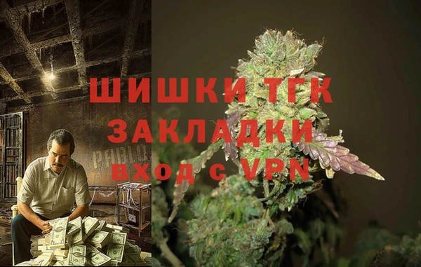 соль ск Алексин