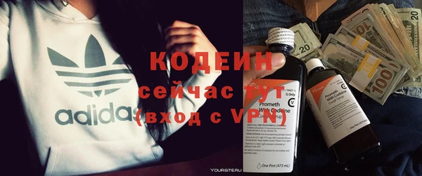 дмт Пестово