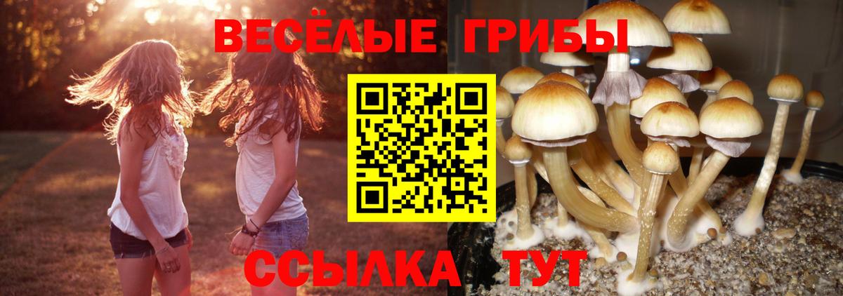 Галлюциногенные грибы прущие грибы  Вход с VPN  Галлюциногенные грибы мухоморы  Тейково 